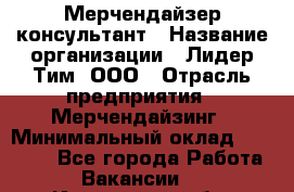 Мерчендайзер-консультант › Название организации ­ Лидер Тим, ООО › Отрасль предприятия ­ Мерчендайзинг › Минимальный оклад ­ 26 000 - Все города Работа » Вакансии   . Ивановская обл.